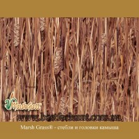 Avery® Marsh Grass®