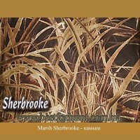 Master Sportsman® Marsh Sherbrooke