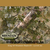 King's® Mountain Shadow®