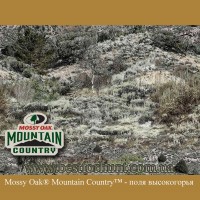 Mossy Oak® Mountain Country™