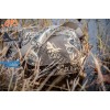 ALPS OutdoorZ® Delta Waterfowl™ Floating Blind Bag Realtree MAX-5®