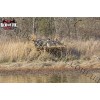 Redneck Blinds® The Waterfowl Blind Realtree MAX-5®