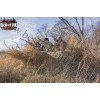 Redneck Blinds® The Waterfowl Blind Realtree MAX-5®