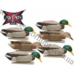 Avian-X® Topflight™ Backwater Floating Mallards Duck Decoys 6 Pack 8070