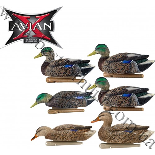 Avian-X® Topflight™ Early Season Floating Mallards Duck Decoys 6 Pack 8062