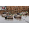 Avian-X® Topflight™ Early Season Floating Mallards Duck Decoys 6 Pack 8062