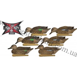 Avian-X® Topflight™ Floating Early Season Teal Decoys 6 Pack 8079