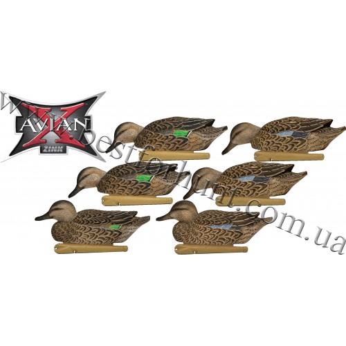 Avian-X® Topflight™ Floating Early Season Teal Decoys 6 Pack 8079