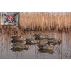 Avian-X® Topflight™ Floating Early Season Teal Decoys 6 Pack 8079