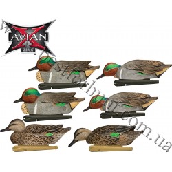 Avian-X® Topflight™ Floating Green-Winged Teal Decoys 6 Pack 8081