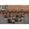 Avian-X® Topflight™ Floating Green-Winged Teal Decoys 6 Pack 8081