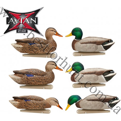 Avian-X® Topflight™ Fusion Floating Mallards Duck Decoys 6 Pack 8076
