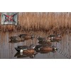 Avian-X® Topflight™ Floating Blue-Winged Teal Decoys 6 Pack 8080