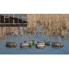 Greenhead Gear® Pro-Grade™ Mallard Feeder Duck Decoys 6 Pack 73109