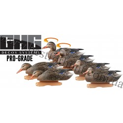 Greenhead Gear® Pro-Grade™ Mallards Early Season Hen Duck Decoys 6 Pack 73105