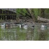 Greenhead Gear® Pro-Grade™ Mallards Harvester Duck Decoys 12 Pack 73117