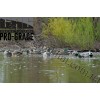 Greenhead Gear® Pro-Grade™ Mallards Harvester Duck Decoys 12 Pack 73117