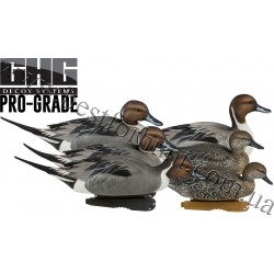Greenhead Gear® Pro-Grade™ Pintails Duck Decoys 6 Pack 73131