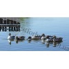 Greenhead Gear® Pro-Grade™ Pintails Duck Decoys 6 Pack 73131