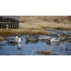 Greenhead Gear® Pro-Grade™ Pintails Duck Decoys 6 Pack 73131