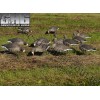 Greenhead Gear® Pro-Grade™ Specklebelly Goose Shell Decoys with Universal Motion Stakes 72082 Harvester Pack