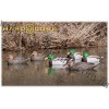 Hardcore® Rugged Series Standard Floating Mallard Decoys 6 Pack