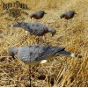 Lucky Duck™ Feeder Dove Decoys