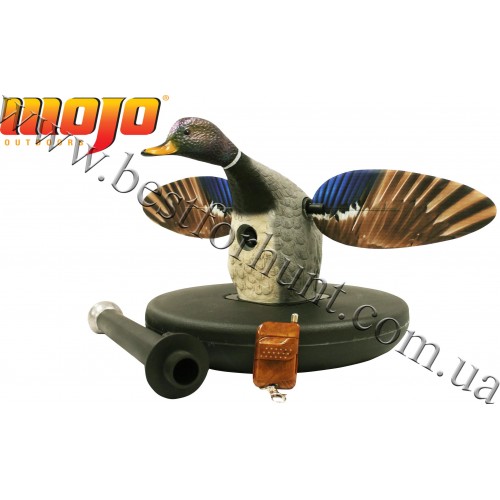 MOJO Outdoors® Elite Series™ Mallard® Drake Floater Motion Decoys