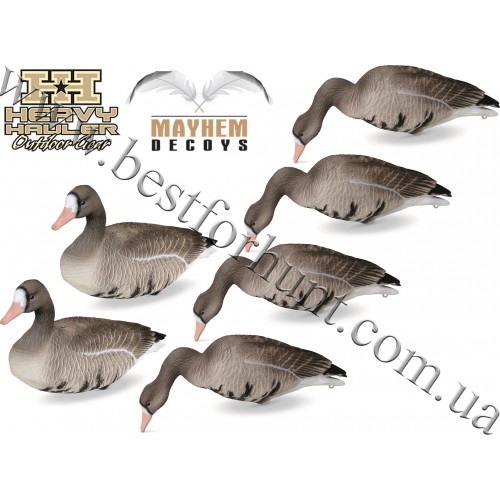Mayhem Decoys® by Heavy Hauler Outdoor Gear Specklebelly Life size Goose Decoy 6-Pack