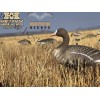 Mayhem Decoys® by Heavy Hauler Outdoor Gear Specklebelly Life size Goose Decoy 6-Pack