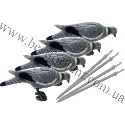 Pigeon Full Body Decoy Set 4 pcs