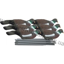 Pigeon Shell Decoy Set 6 pcs