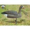 Sport Plast® White-Front Life-Size Half-Body Shell Goose Decoy SH2P 240