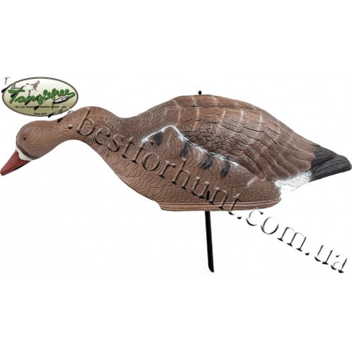 Tanglefree® Feeding Specklebelly Goose Shell Decoys