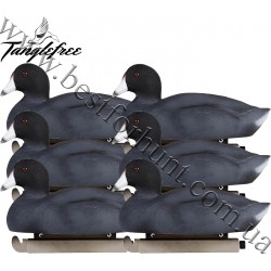 Tanglefree® Pro Series™ Coot Duck Decoys 6-Pack