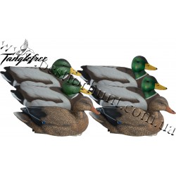 Tanglefree® Pro Series™ Super Magnum™ Mallard Decoys 6-Pack