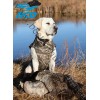 Avery Sporting Dog® Standard Dog Parka Realtree MAX-5®