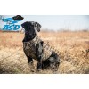 Avery Sporting Dog® Standard Dog Parka Realtree MAX-5®