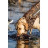 Banded® 5mm Neoprene Dog Parka Mossy Oak® Shadow Grass®