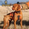 Browning® Dogs Chest Protector Hi-Viz Blaze Orange