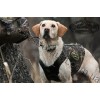 Rig'Em Right Waterfowl™ Turbo Dog™ 6mm Neoprene Dog Vest Realtree MAX-4®